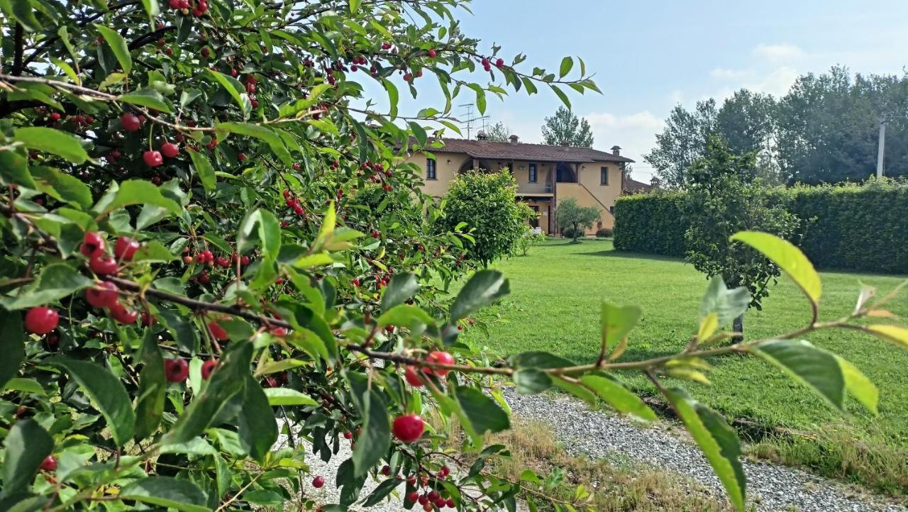 Il Chiassetto Agriturismo No Kids Villa Cascina Luaran gambar